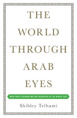 Shibley Telhami:  The World Through Arab Eyes